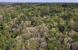 Crane Mountain Road, Toccoa, GA 30577