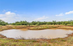 14175 State Highway 6, Moran, TX 76464