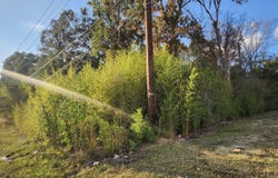 GREENWELL SPRINGS RD lot: W/2, Baton Rouge, LA 70814