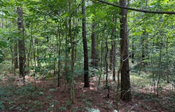 Parker City Rd, Creal Springs, IL 62922