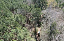 Billy Ray Rd, Marshall, TX 75672