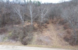 Sarchets Run Road, Cambridge, OH 43725