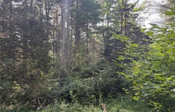 Crescent Road, Gilboa, NY 12076