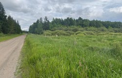 Quaal Road, Forbes, MN 55738