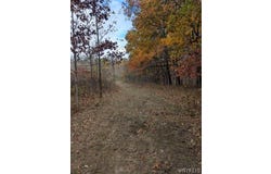 8639 Wright Road, Pulteney, NY 14874