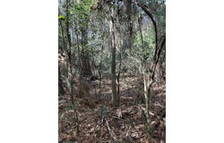 8 Lots Unknown Lane, Blakely, GA 39823