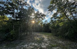 2.24 Acres JV Woolley Rd, Crestview, FL 32539