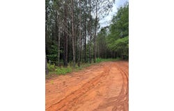 01 parcel 2 County Road 6629, BANKS, AL 36005
