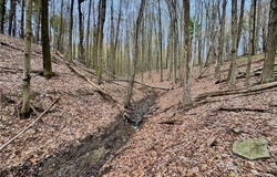 5796 State Route 21 S, Naples, NY 14512