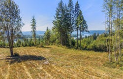 Old Tree Farm Dr, Longview, WA 98632
