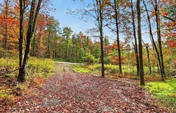 12.1 ac Mercur Hill Rd, Wyalusing, PA 18848