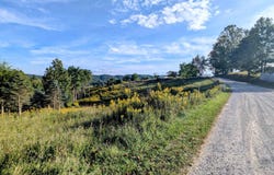 High Rock Hill Road, Pilot, VA 24138