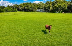 14240 SR 471, WEBSTER, FL 33597