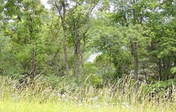 Bent Hills lot: 2, Independence, VA 24348