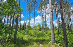 BAADE RD lot: 3, Monico, WI 54501