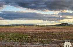 Gee Road, Rapelje, MT 59067