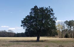 716 Augusta Road, Edgefield, SC 29824