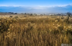 7929 County Road 84, Fort Collins, CO 80524