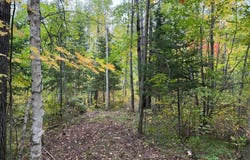 51181 Sand Creek Rd, Bruno, MN 55712
