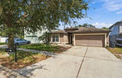 13516 COPPER HEAD Drive, RIVERVIEW, FL 33569