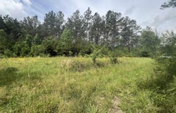 NE Highway 44, Summit, MS 39666