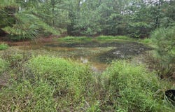 3590 Co Rd 38, Jemison, AL 35085