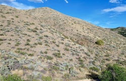 Larkspur, Pocatello, ID 83204