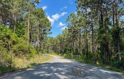 0 Sam Booker Road, Mansfield, LA 71052