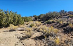 Charro Ct., Tehachapi, CA 93561