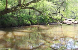 2 Ruffner Road, Barnesville, GA 30204