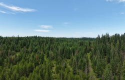 Highway 11, Weippe, ID 83553