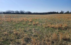 Highway H, Grovespring, MO 65662
