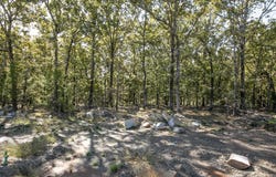 45 Wellington Place, Cabot, AR 72023