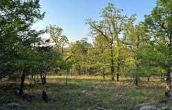 1 WY 73,000 Rd, Ringold, OK 74754