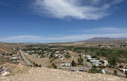 Cactus, Littlefield, AZ 86432