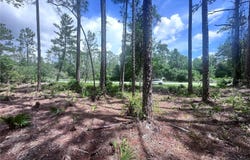 107 S GEORGETOWN POINT Road, GEORGETOWN, FL 32139