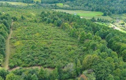 1738 Jennings Rd, Millerton, PA 16936