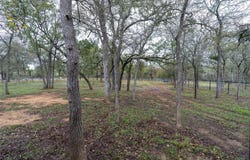 362 Saint Johns Rd, Dale, TX 78616