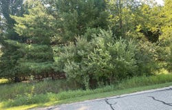 97 SALISBURY Drive, Gladwin, MI 48624