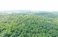 1651 River Rd, Smithland, KY 42081