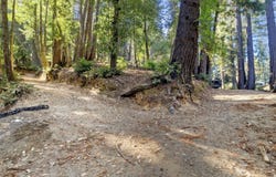 0 Western, BROOKDALE, CA 95007