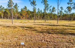 20 Big Buck Drive, Moscow, TX 75960