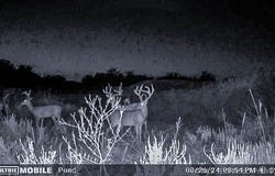 36 Star Road, Quinton, OK 74561