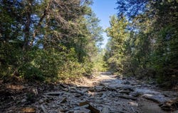 Calhan Circle, Clarkridge, AR 72623