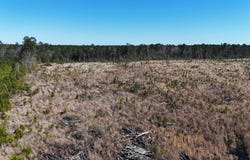kansas, Gurdon, AR 71743