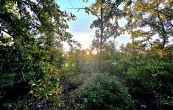 Sea Oaks Drive lot: 18 And 19, Perry, FL 32348