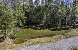 Private Road 2292, Clarksville, AR 72830