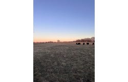 Civil War Road, Carthage, MO 64836