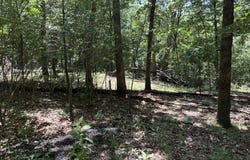 Maple Drive lot: 23-25, Garfield, AR 72732