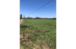 Old Martha Washington Road, Clarkrange, TN 38553